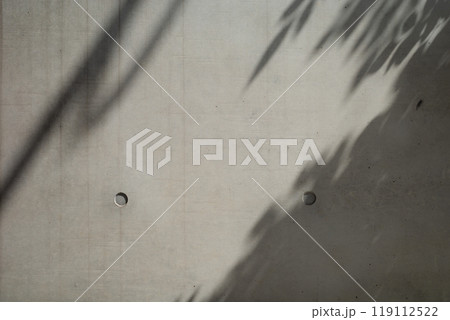打ちっ放しのコンクリート壁 樹木などの影のある背景 b-1-1 カラー暗め 打ちっ放しのコンクリート壁 樹木などの影のある背景 b-1-1 カラー暗め 119112522