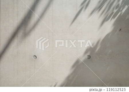 打ちっ放しのコンクリート壁 樹木などの影のある背景 b-1-2 カラー 打ちっ放しのコンクリート壁 樹木などの影のある背景 b-1-2 カラー 119112523