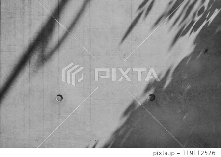 打ちっ放しのコンクリート壁 樹木などの影のある背景　b-2-1 モノクロ暗め 119112526