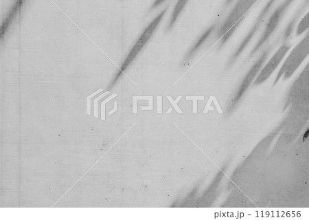 打ちっ放しのコンクリート壁 樹木などの影のある背景 c-2-2 モノクロ 打ちっ放しのコンクリート壁 樹木などの影のある背景 c-2-2 モノクロ 119112656