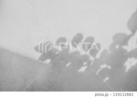 打ちっ放しのコンクリート壁 樹木などの影のある背景　d-2-2 モノクロ 119112662