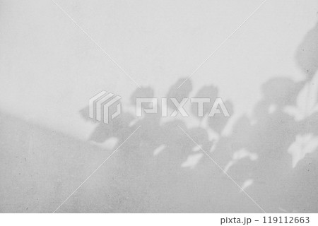 打ちっ放しのコンクリート壁 樹木などの影のある背景　d-2-3 モノクロ明るめ 119112663