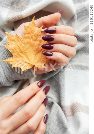 A hand holding a vibrant autumn leaf rests on a cozy plaid blanket during a serene fall afternoon 119113249