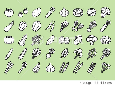 シンプルな野菜のイラストセット(線画) シンプルな野菜のイラストセット(線画) 119113460
