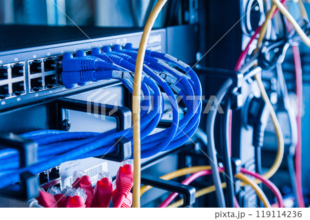 blue ethernet cables connected to switch blue ethernet cables connected to switch 119114236
