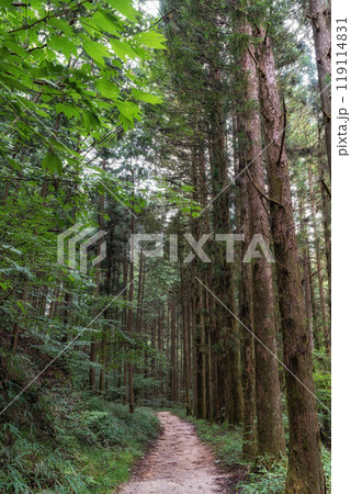 Nakasendo hiking trail 119114831