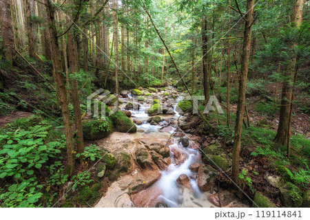 Small stream near Nakasendo Trail 119114841