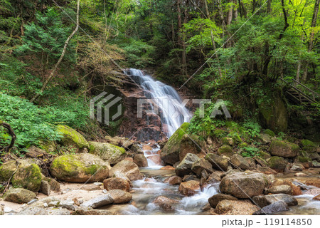 Odaki and Medaki waterfalls 119114850