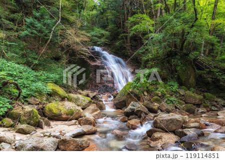 Odaki and Medaki waterfalls Odaki and Medaki waterfalls 119114851