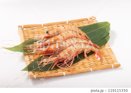 ［秋田県産］刺身用　ボタンえび 119115350