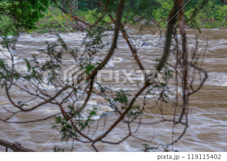 大雨で増水し危険な激流と化した、普段は静かな渓流 大雨で増水し危険な激流と化した、普段は静かな渓流 119115402