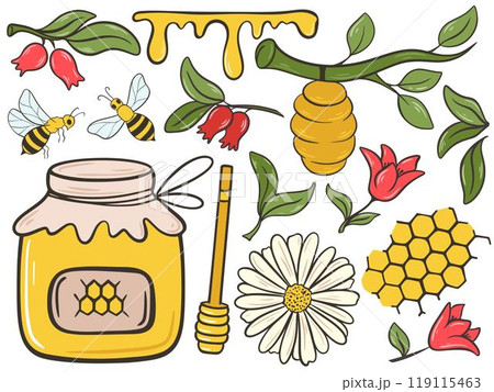 Honey and beekeeping colorful hand drawn set 119115463