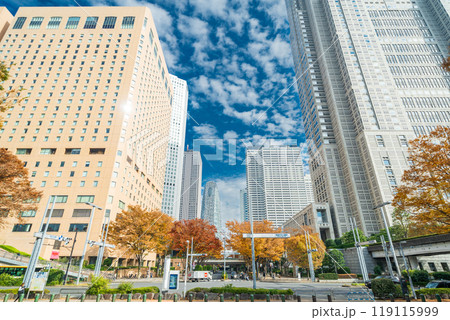 「東京都」西新宿ビル群の秋の風景・新宿 119115999