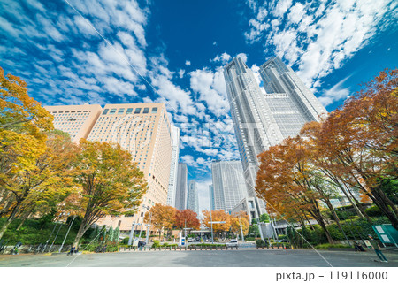 「東京都」西新宿ビル群の秋の風景・新宿 119116000
