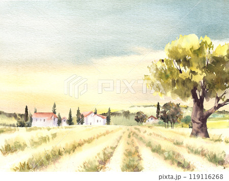 Landscape Field and sunset sky, old rural farmのイラスト素材