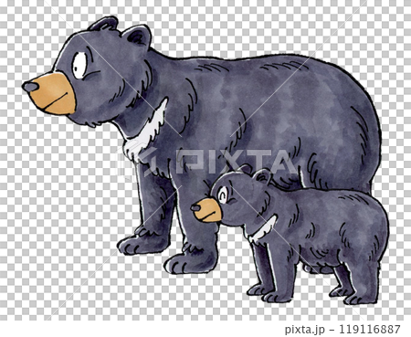 亞洲黑熊家族 亞洲黑熊家族 119116887