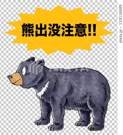 熊出没注意(ツキノワグマ) 119116889