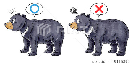 判定ツキノワグマセット(マルバツ) 判定ツキノワグマセット(マルバツ) 119116890