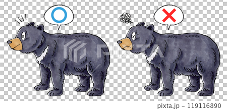 判定ツキノワグマセット(マルバツ) 判定ツキノワグマセット(マルバツ) 119116890