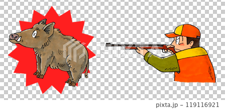 Wild boar hunted with a rifle 119116921