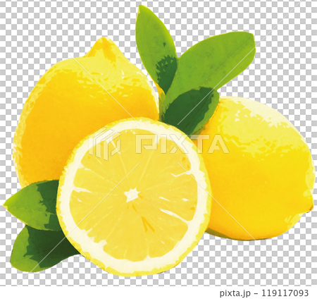 fruits fruits 119117093