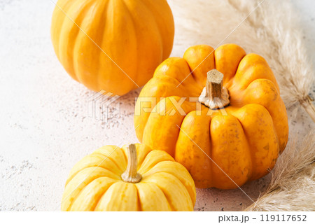ハロウィン　飾り用かぼちゃ 119117652