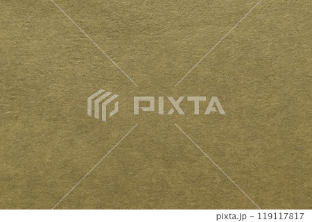 ビビッド感をもつ和紙の背景素材（利休茶） 119117817