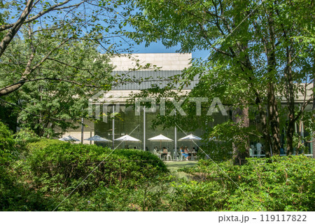 東京都港区白金台の東京都庭園美術館 東京都港区白金台の東京都庭園美術館 119117822
