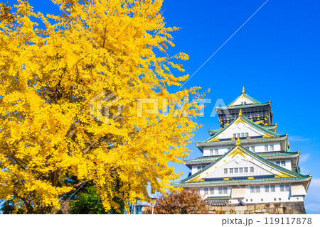 大阪城と黄葉したイチョウ 大阪城と黄葉したイチョウ 119117878
