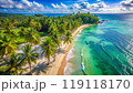 Paradise island beach. Tropical landscape, sea sand sky palm trees. 119118170