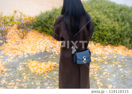 紅葉したイチョウを見る女性の後ろ姿 紅葉したイチョウを見る女性の後ろ姿 119118315
