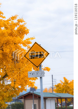 紅葉したイチョウの木と踏切ありの道路標識 119118318