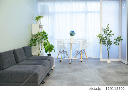 モダンなインテリア 119118502