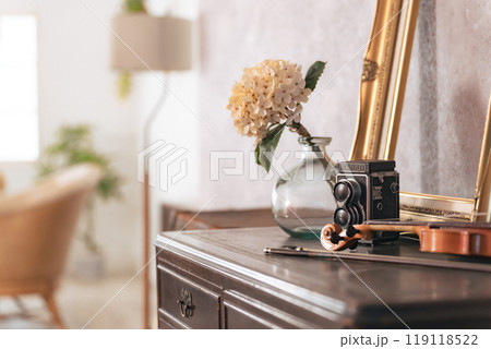 モダンなアンティークインテリア 119118522