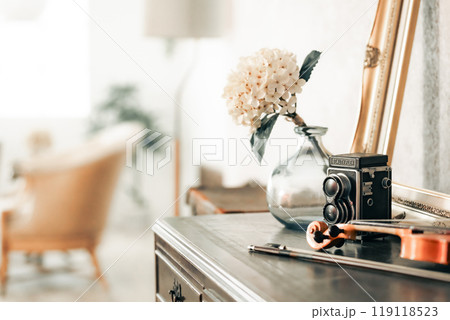 モダンなアンティークインテリア モダンなアンティークインテリア 119118523