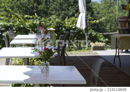 A table in a park under a tree on a cloudy summer day. 119118695
