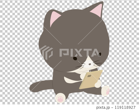 スマホを操作するハチワレ猫 119118927