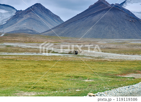 Barskoon valley 119119386