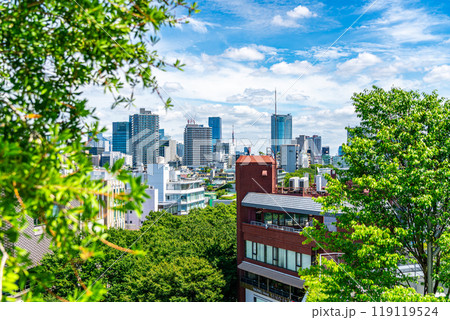 【東京都】ハラカドから見える表参道の街並み 119119524