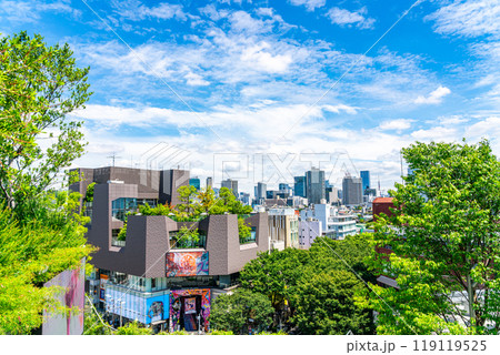 【東京都】ハラカドから見える表参道の街並み 119119525