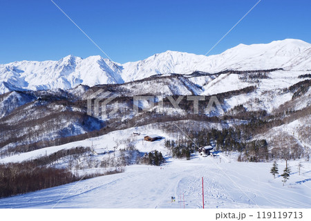 つがいけマウンテンリゾート 栂の森ゲレンデ つがいけマウンテンリゾート 栂の森ゲレンデ 119119713