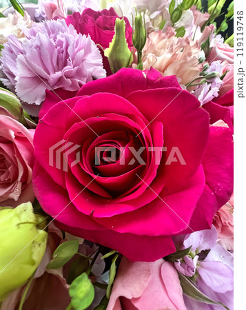Bouquet of different beautiful flowers Bouquet of different beautiful flowers 119119748