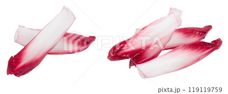 red chicory or radicchio leaves isolated on white background 119119759