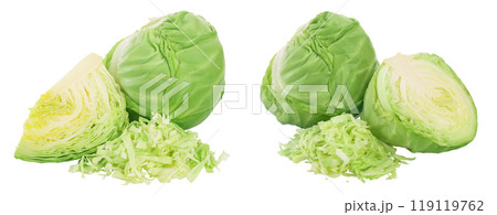 Green cabbage isolated on white background with full depth of field. 119119762