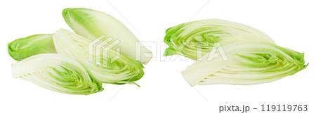 Chicory salad isolated on white background with full depth of field. 119119763