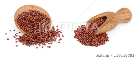 red quinoa seeds in wooden bowl and scoop isolated on white background with full depth of field 119119782