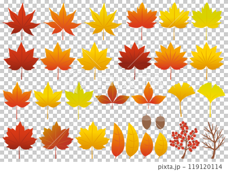 一組受秋葉啟發的落葉和堅果插圖 119120114