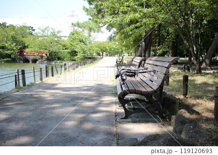 たたずむベンチ 自然風景 たたずむベンチ 自然風景 119120693