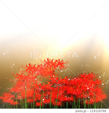 光芒が降り注ぐ彼岸花 119120780