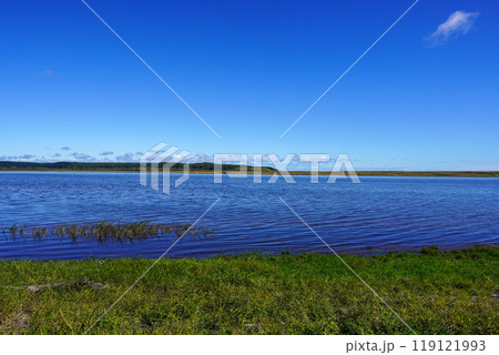 生花苗沼 119121993